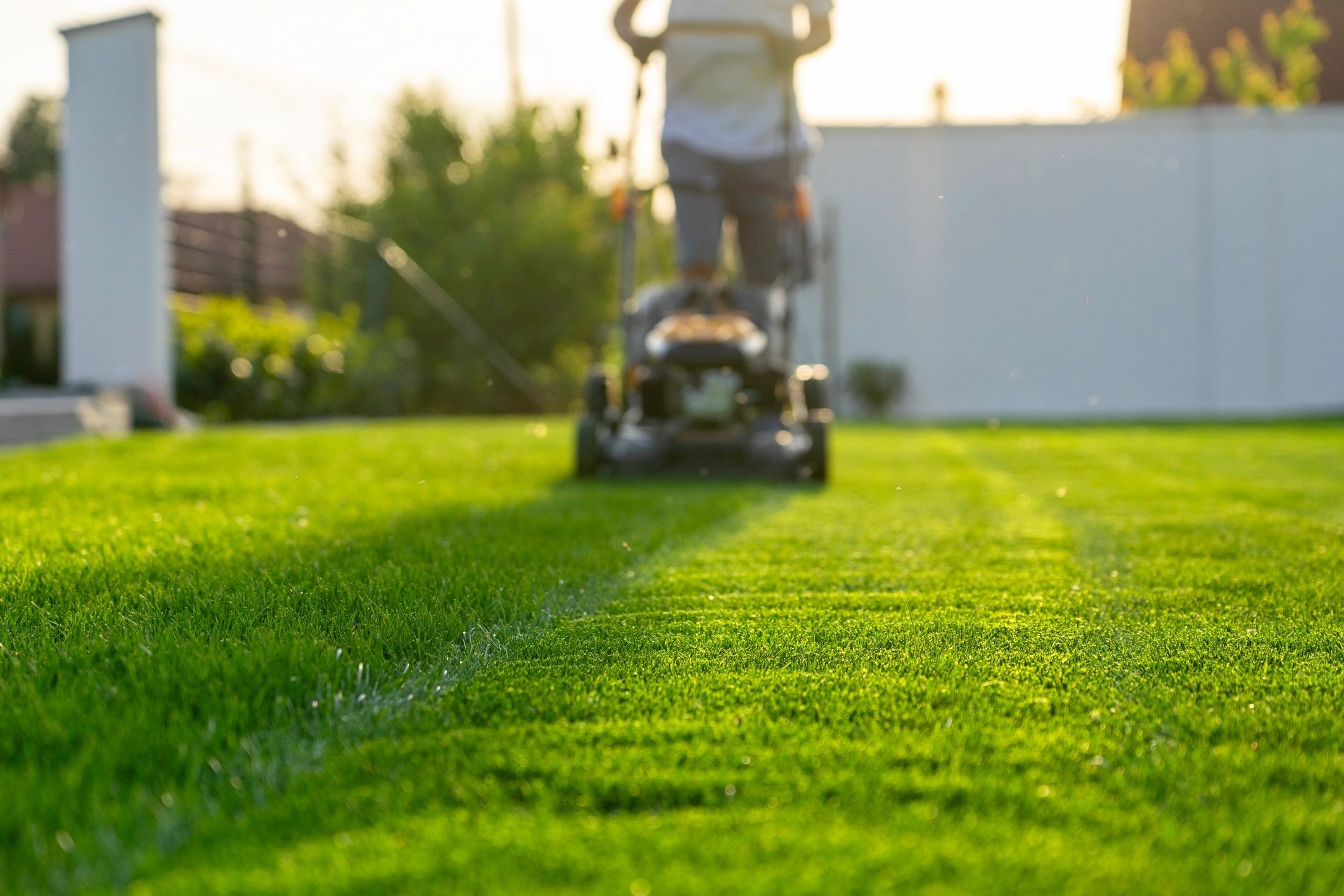 Professional lawn mowing in Brisbane